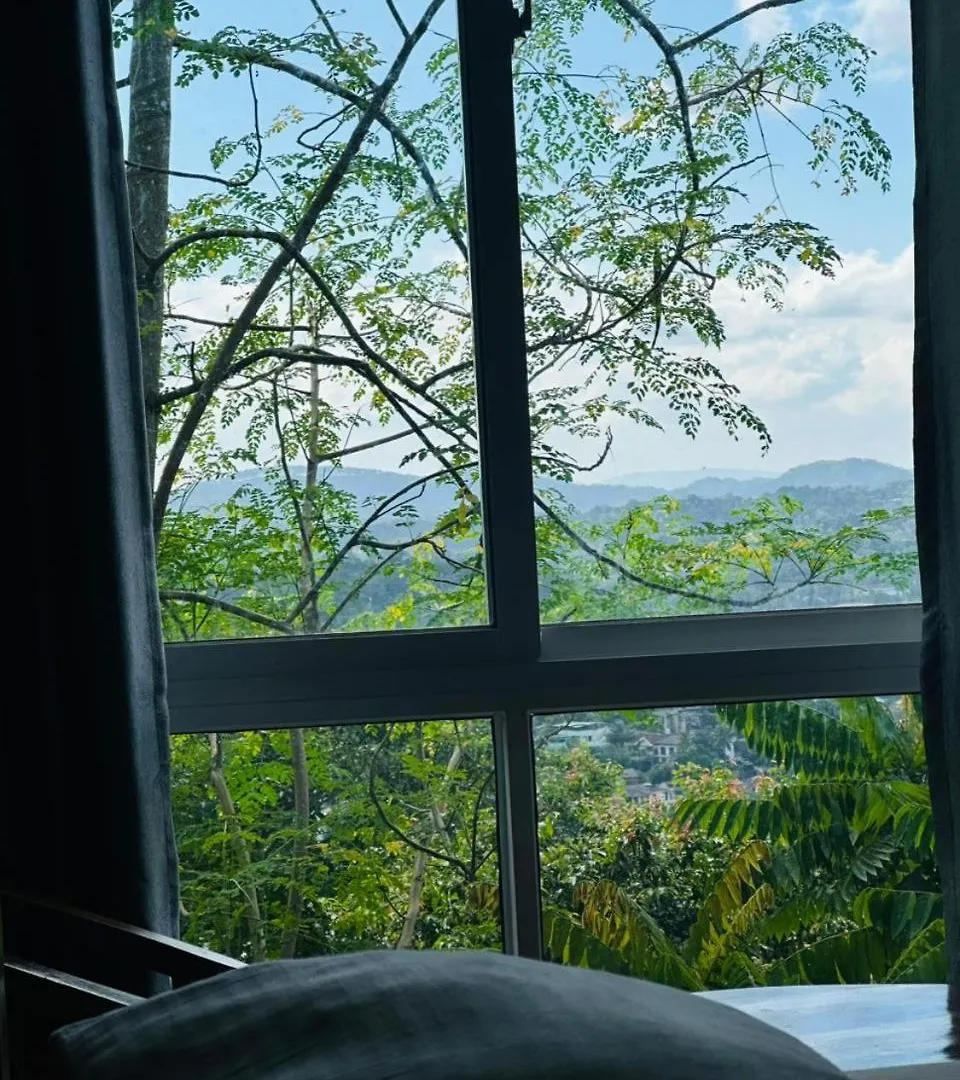Green View キャンディー スリランカ